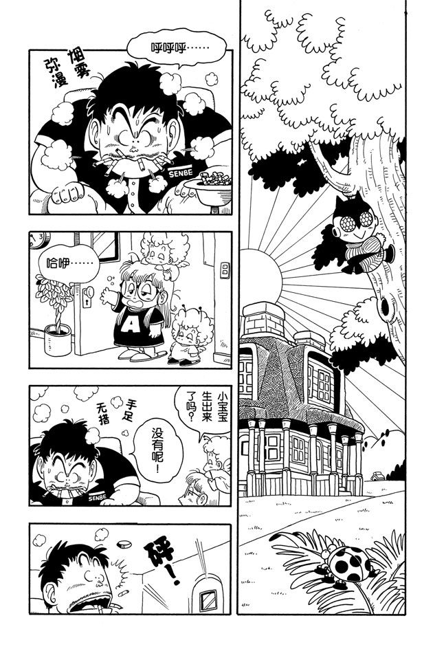 阿拉蕾