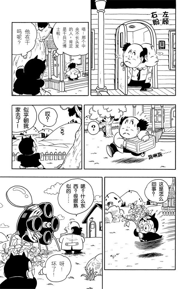 阿拉蕾