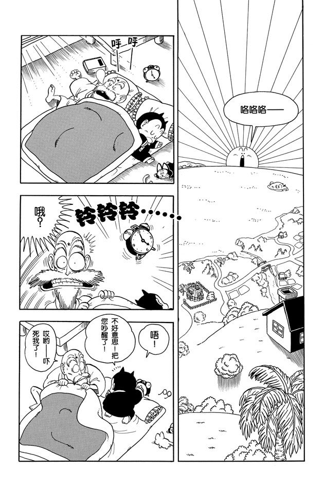 阿拉蕾