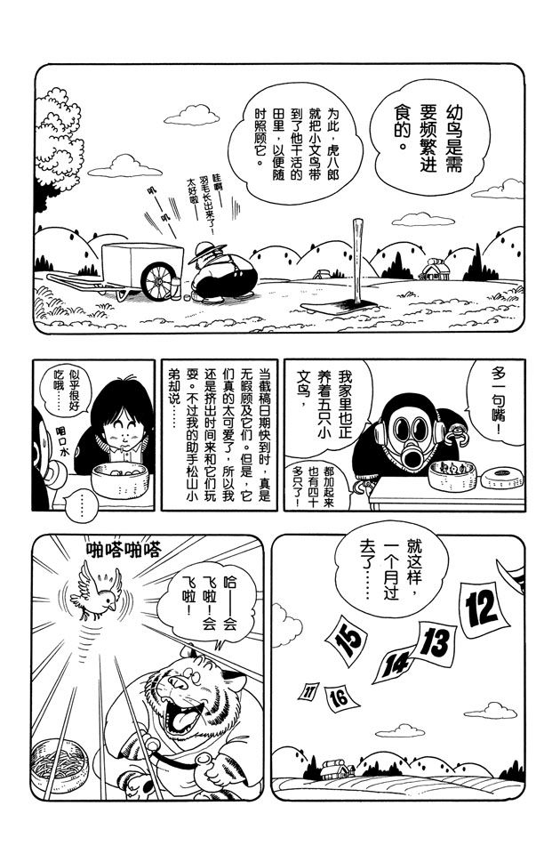 阿拉蕾