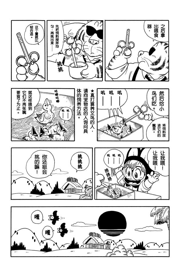 阿拉蕾