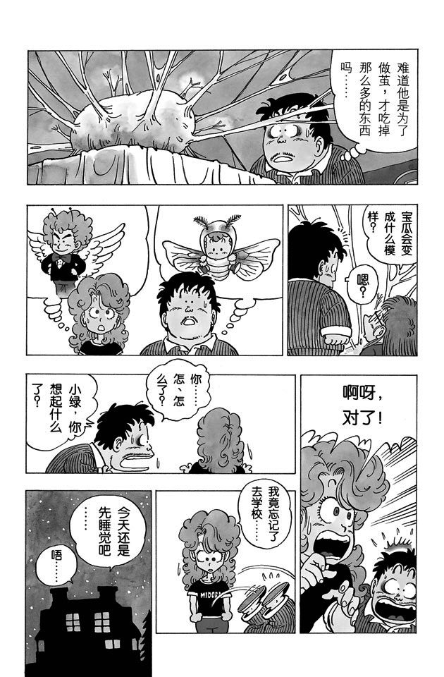 阿拉蕾