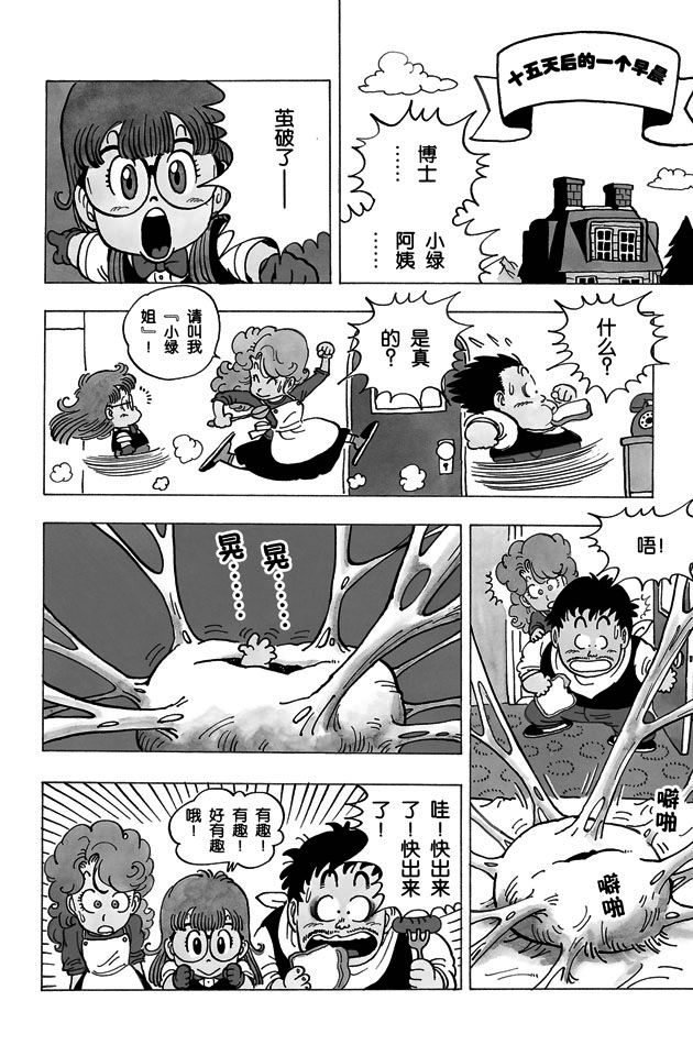 阿拉蕾