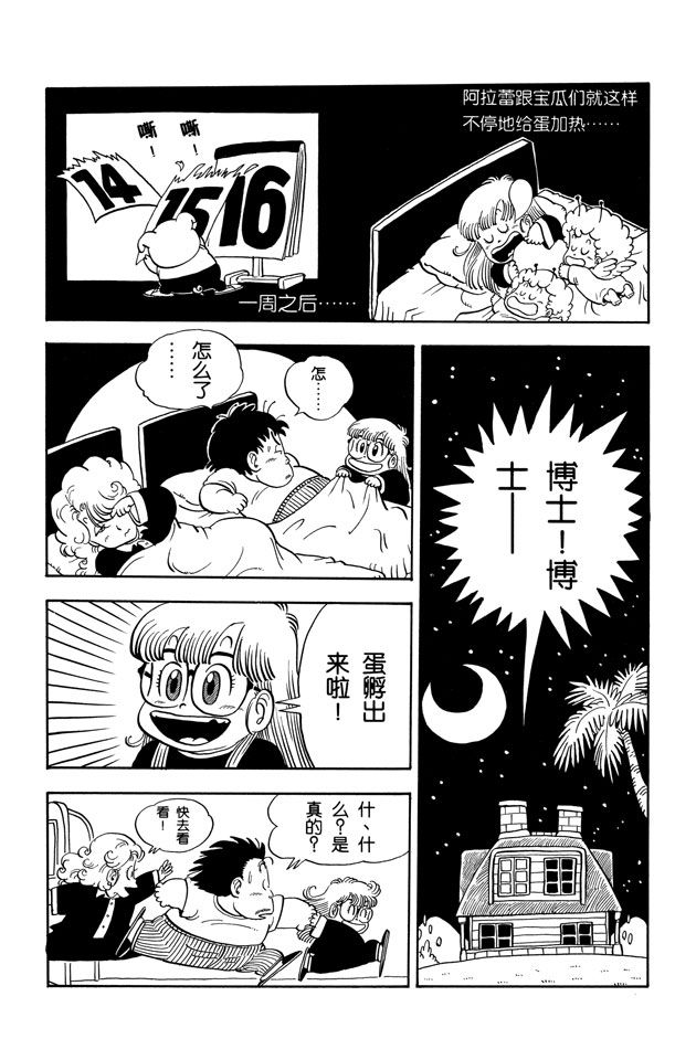 阿拉蕾