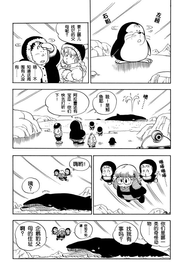 阿拉蕾