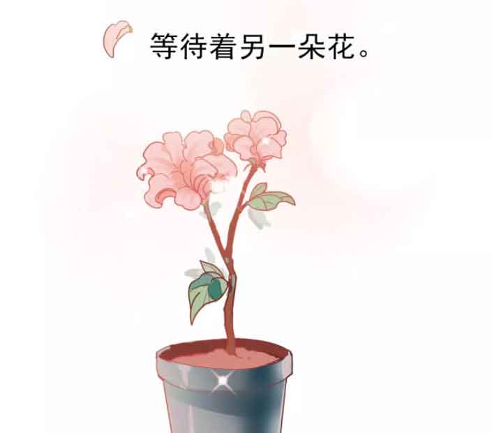 朝花惜时