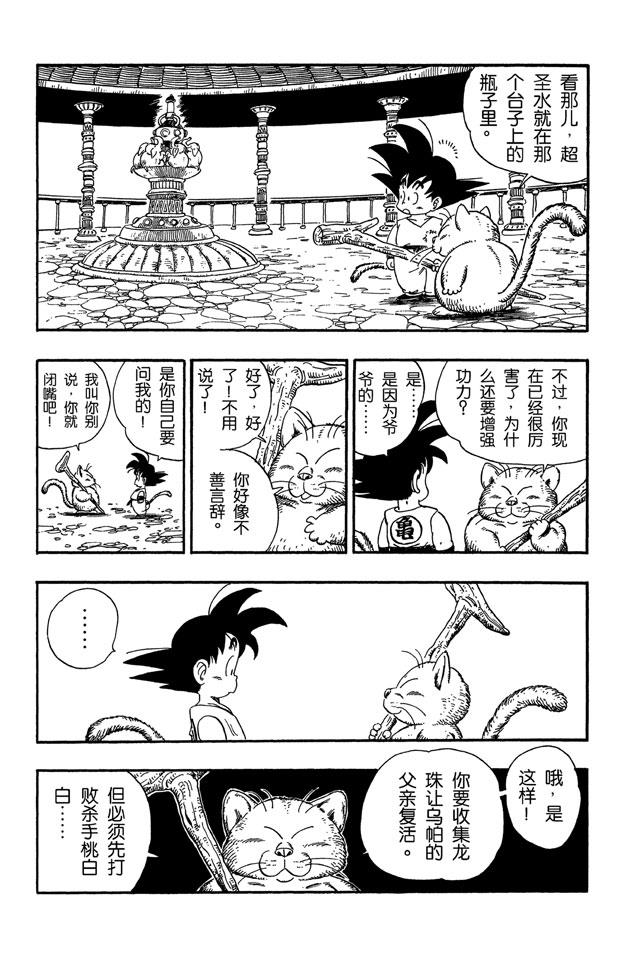 龙珠